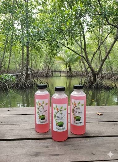 Potensi Usaha Sirup Mangrove Dari Buah Bogem